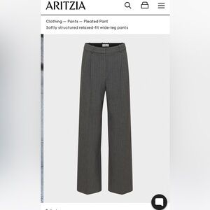Aritzia Babaton Pleated Pants